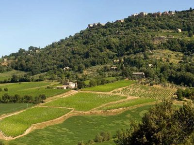Brunello di Montalcino was created HERE Wine Spectator’s 2021 TOP 100 #5 !!! “From the barrels” & Vertical tastings