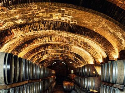 SALVATORE FERRAGAMO’s TENUTA IL BORRO Explore the Art & Wine (and Fashion...) Gallery ORGANIC: visit, wine tasting & gourmet menu