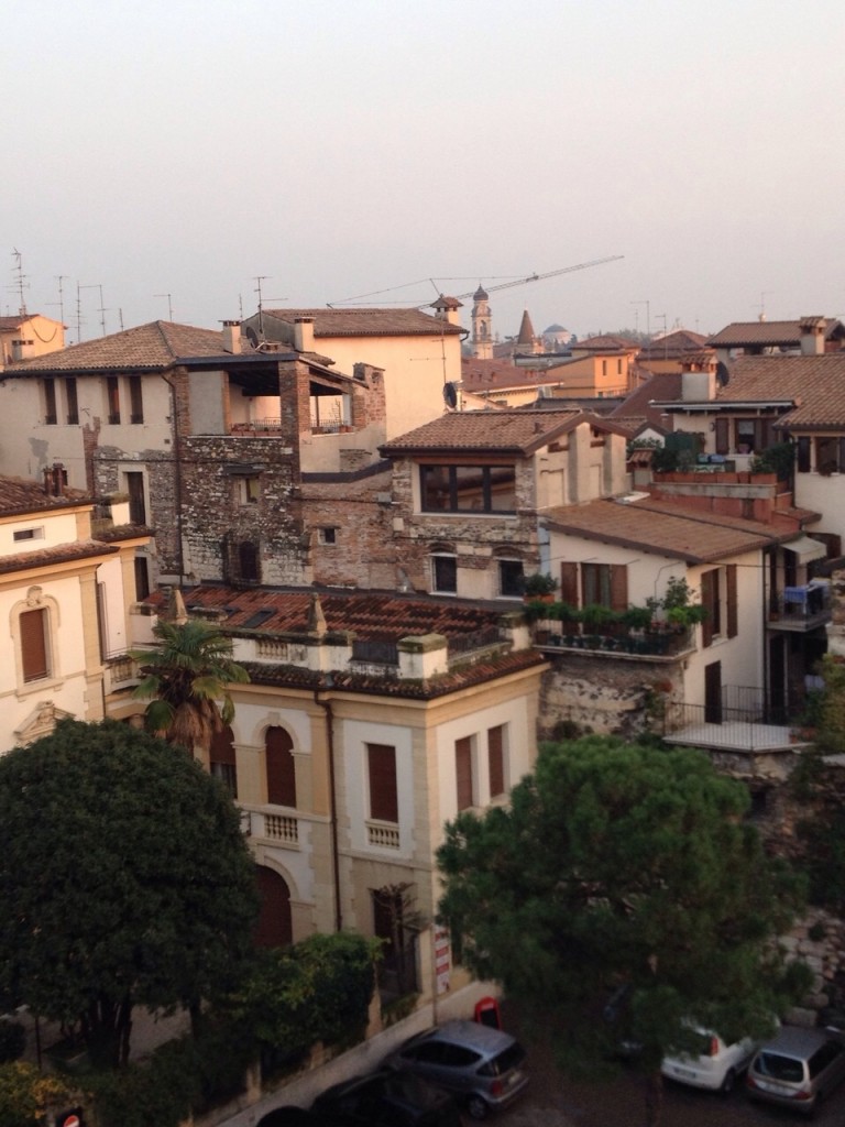 Verona rooftops