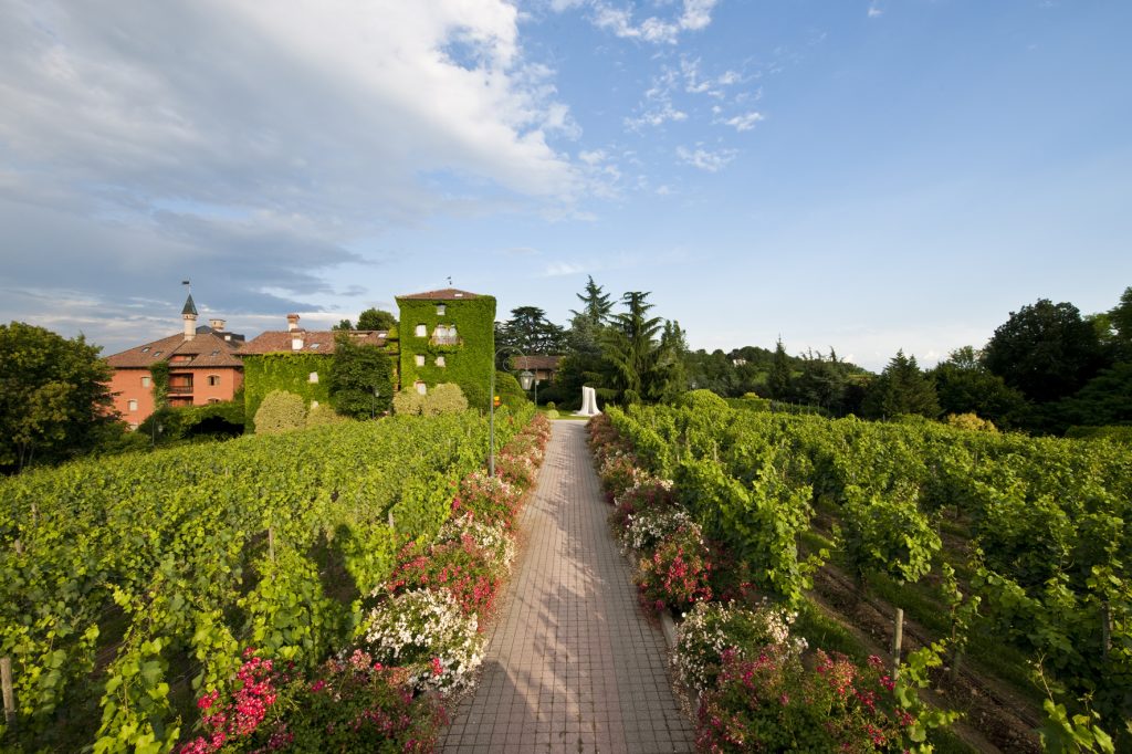 The vineyards and L'Abereta Relais and Chateaux in Erbusco